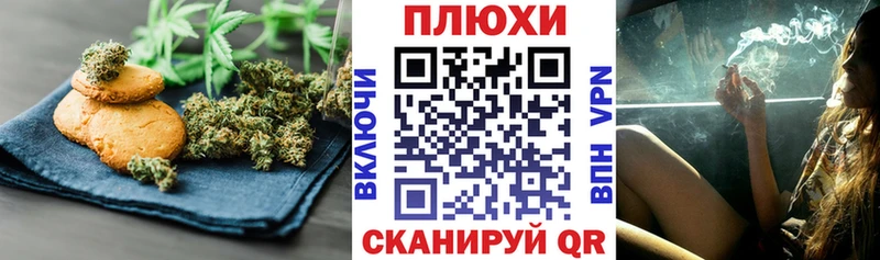 Canna-Cookies марихуана  магазин продажи   Теберда 