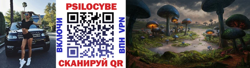 Галлюциногенные грибы Cubensis  блэк спрут зеркало  Теберда 